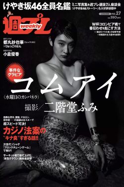 猫天天漫画